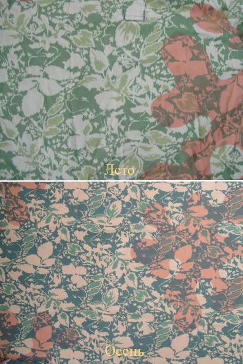 leaf-pattern-amoeba-overprint-sample