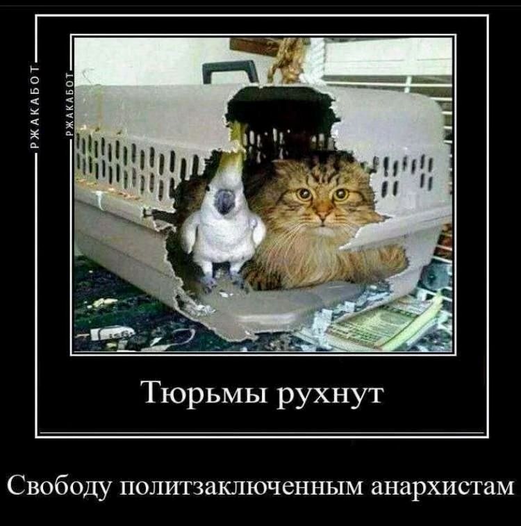 8R-F2cwff0YKJQKMOaODg871ZqIYnHHWjh3xjlW-Qf7TF6ayaYh-Jfq1yWm-5RcesxnDiHDerVoPv3UvhYDY7Iy5~2