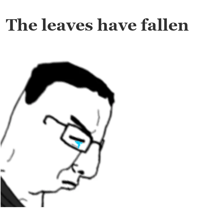 the leaves have fallen