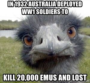 in-1932-australia-deployed-ww1-soldiers-to-kill-20000-emus-and-lost