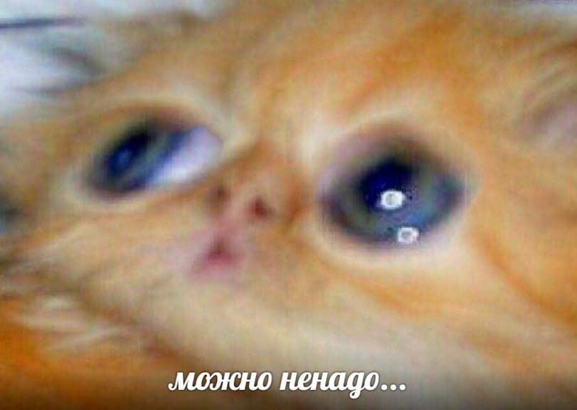 Приколы-для-даунов-разное-4780064