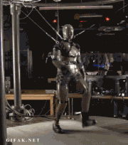 DesertedQuickFlyinglemur-max-1mb