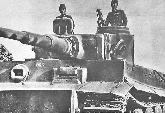 tiger_i