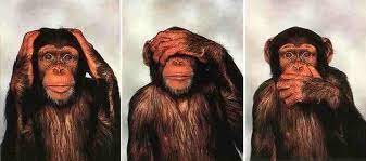 monkey