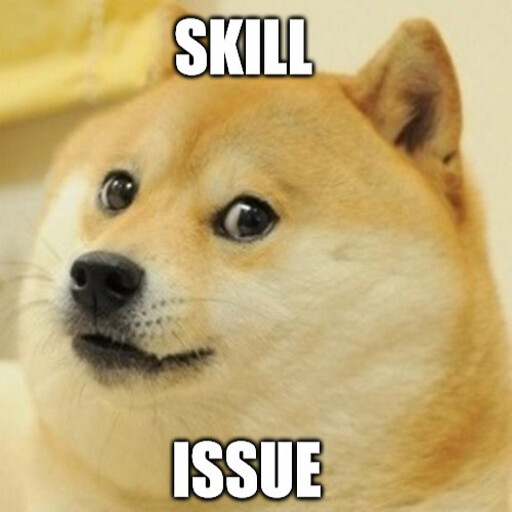 SKILL ISSUE