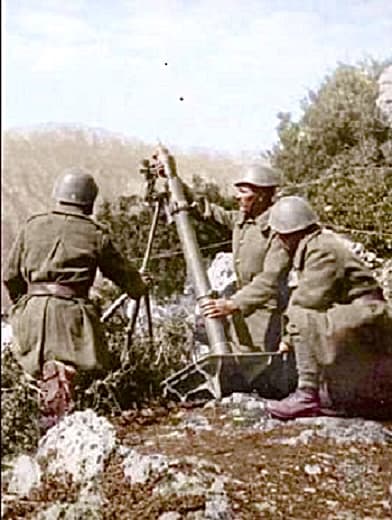 17734172416247416528369991073139