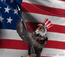 freedom-america