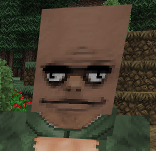 Dumb Looking Villager