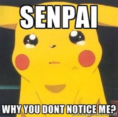 b6626e0df8c668256c7834cab18254ff--pokemon-memes-pikachu