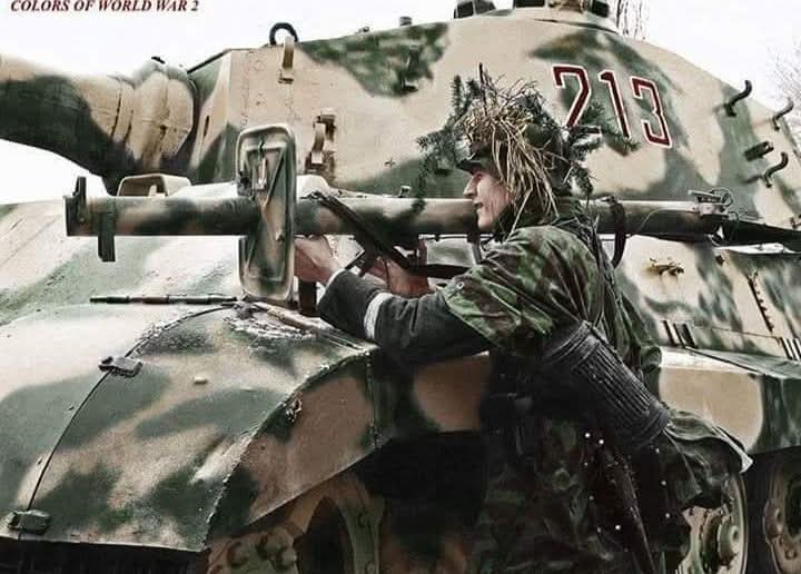 FB_IMG_1764265016829