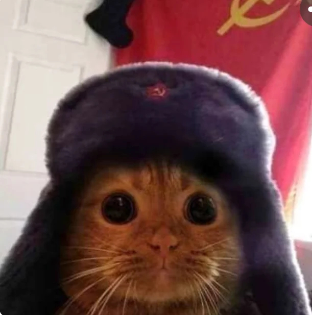 comrad-cat-bringer-of-mother-russia-v0-5ma5owuhlsy81