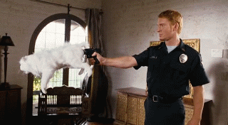 1249634818_cat_gun_silencer