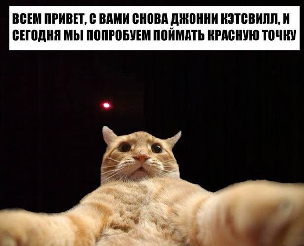 17605318498292994838106096779708