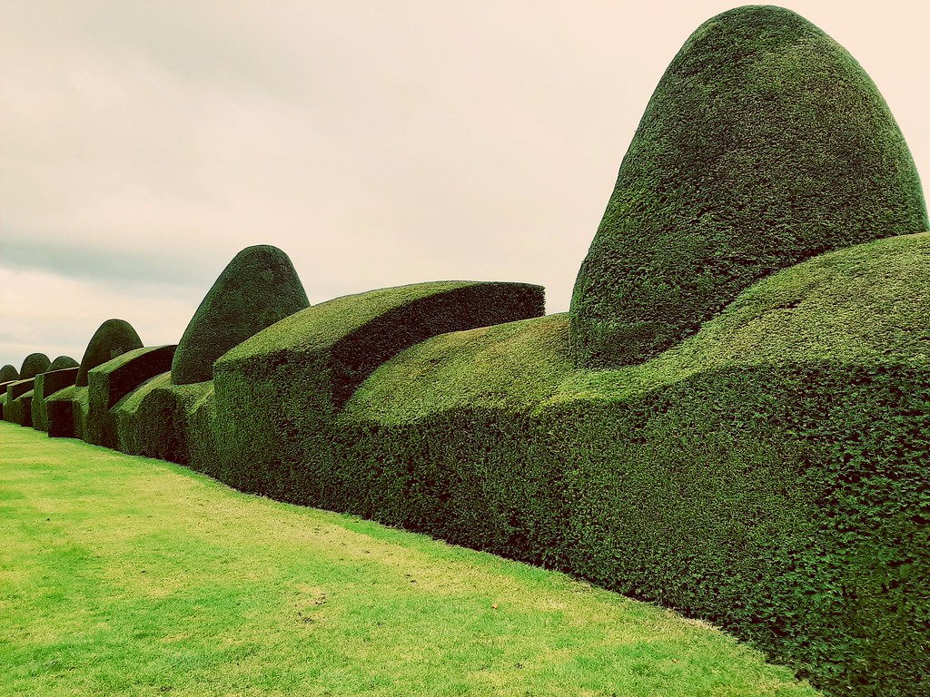 48976393642_350eb5d162_b