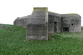 IMG_0238