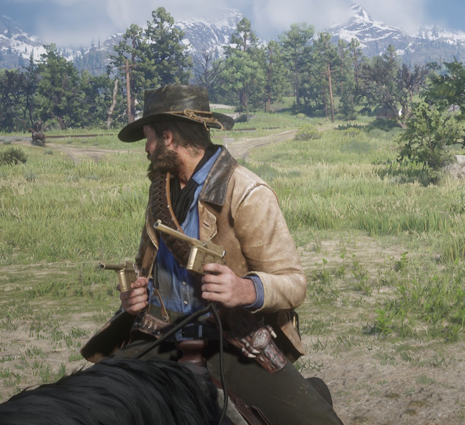 Red Dead Redemption 2 2026_1_3 20_49_13