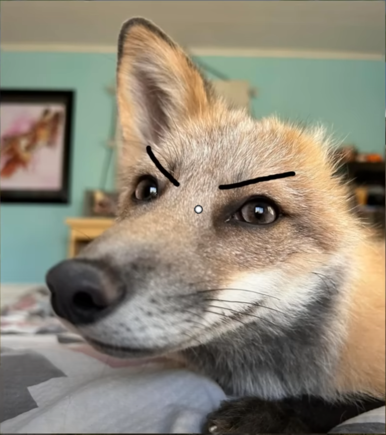 smug (2)