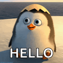 penguin-hello