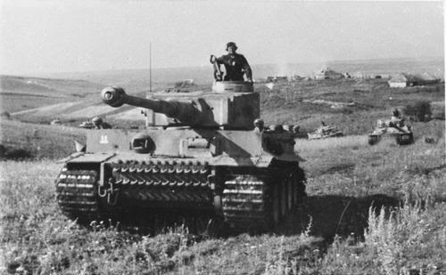 tigrisek-magyar-szolgalatban