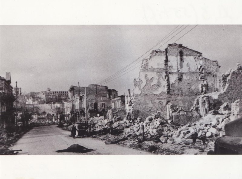 5be4dd5b87a4db87_1024