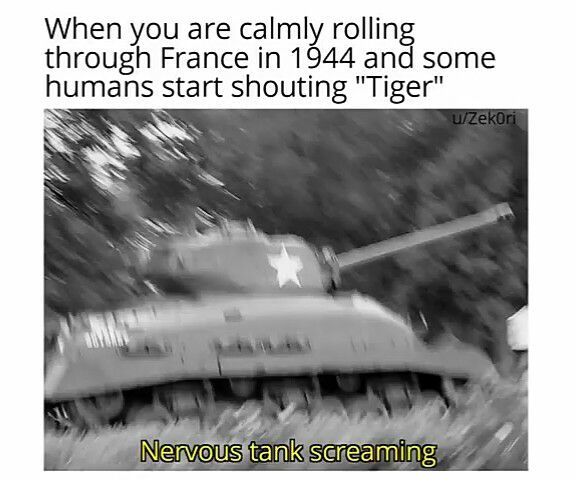 78079266_970027736699115_319860611263496192_n