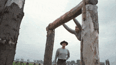 InfatuatedRepulsiveLadybug-max-1mb