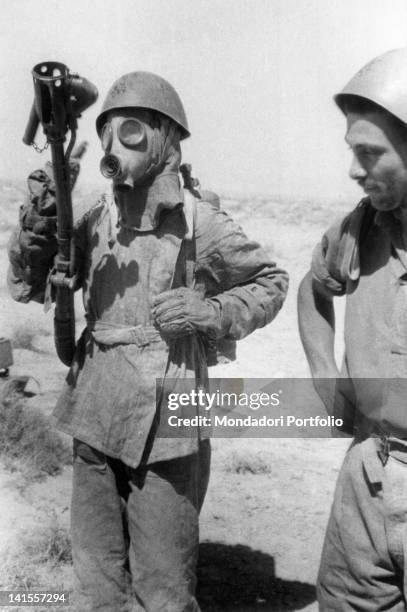 gettyimages-141557294-612x612