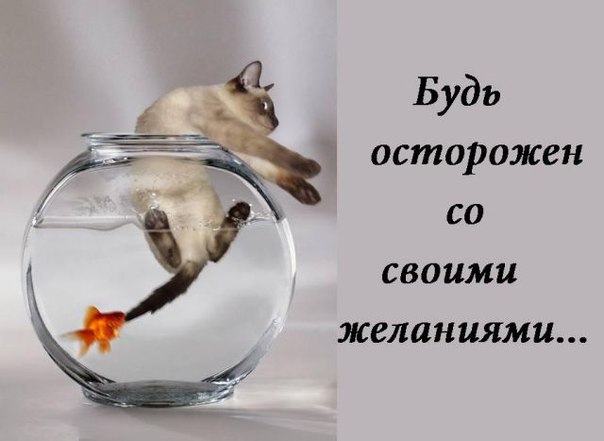 49230921_2544f3787fe474b149c0f48b23d08dff_800
