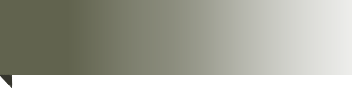 E01
