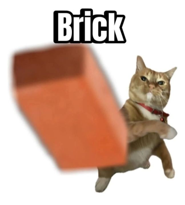 88749ffee7c5fb04ddd403a281c58e58