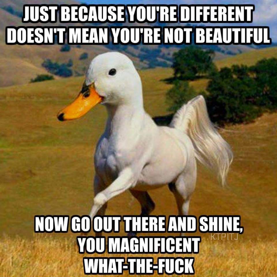 magnificient