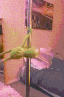 kermit-stripper