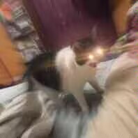 7A8F504C380514F29428D04FE8863327