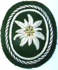 EF6