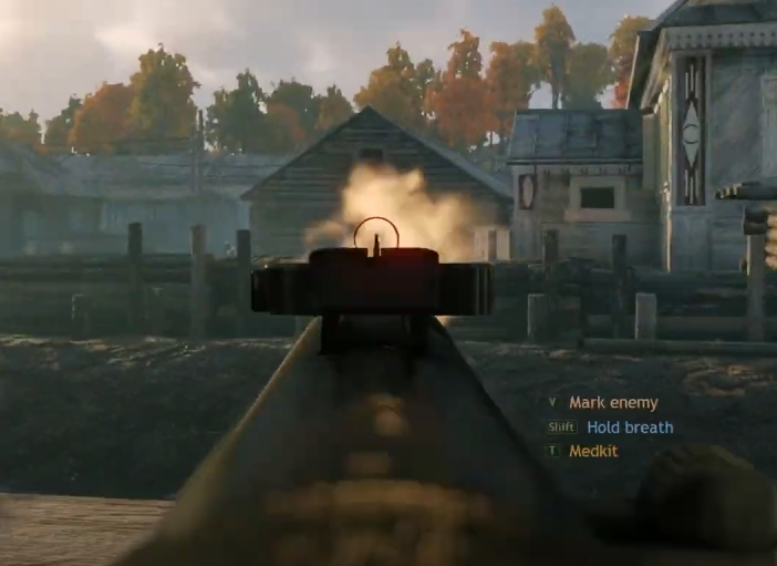 Ring sight new