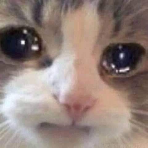 9f8f4c2165f1df967864ee3de4d3b6ea
