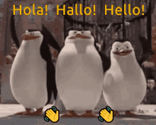hola-hallo