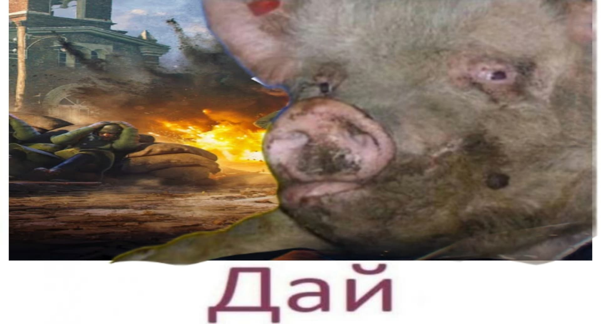 Picsart_24-10-04_10-44-30-689