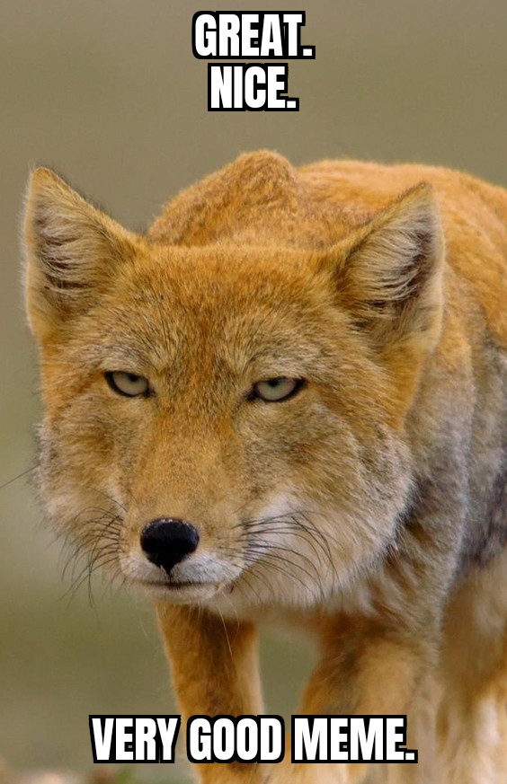 ZomboMeme 06102022112647