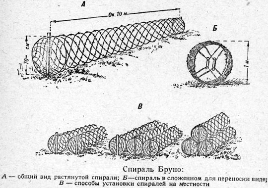 спираль бруно