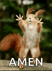 good-morning-good-morning-funny