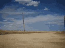 desert-tumbleweed