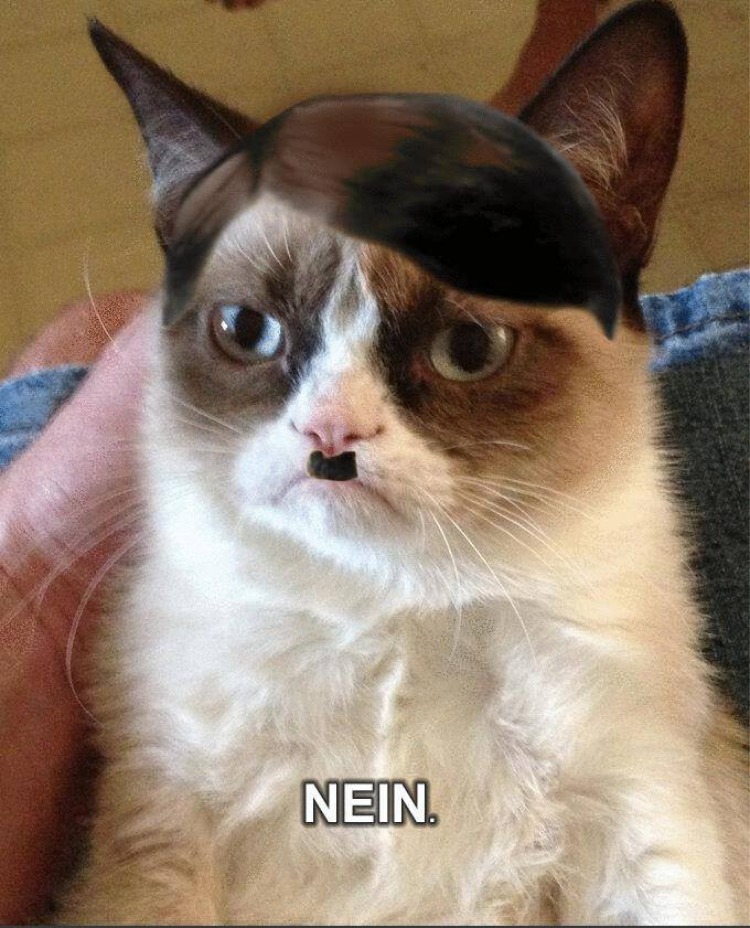 Hitler Nein