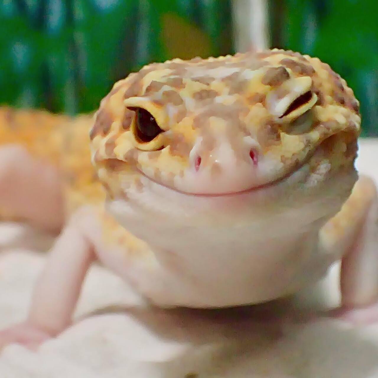 dc32f6a0bb534e8d1f892053e341e6de