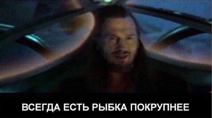 1782406805447437202779702640022