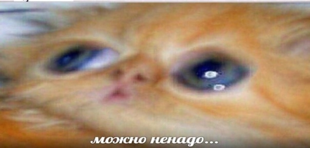 AeuKK-KCJeA