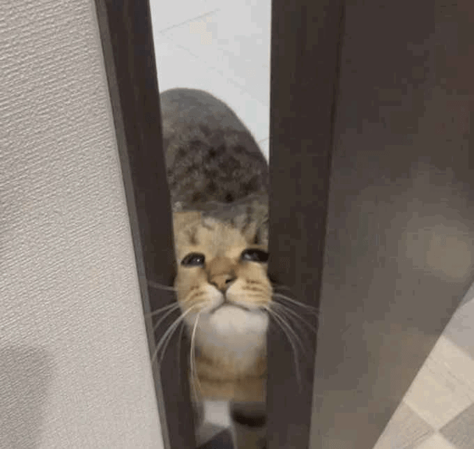 peeking