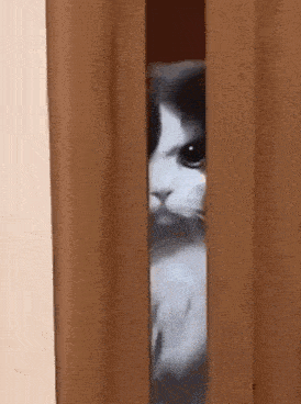 kitty-cat-evil