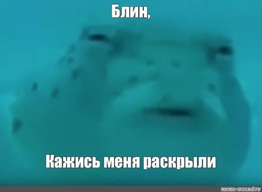 17629033719827971639475789014477