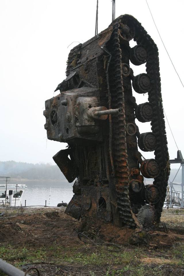 31351544